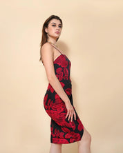 Scarlet Ruchid Dress